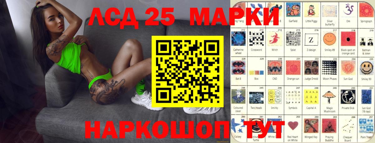 APVP Димитровград