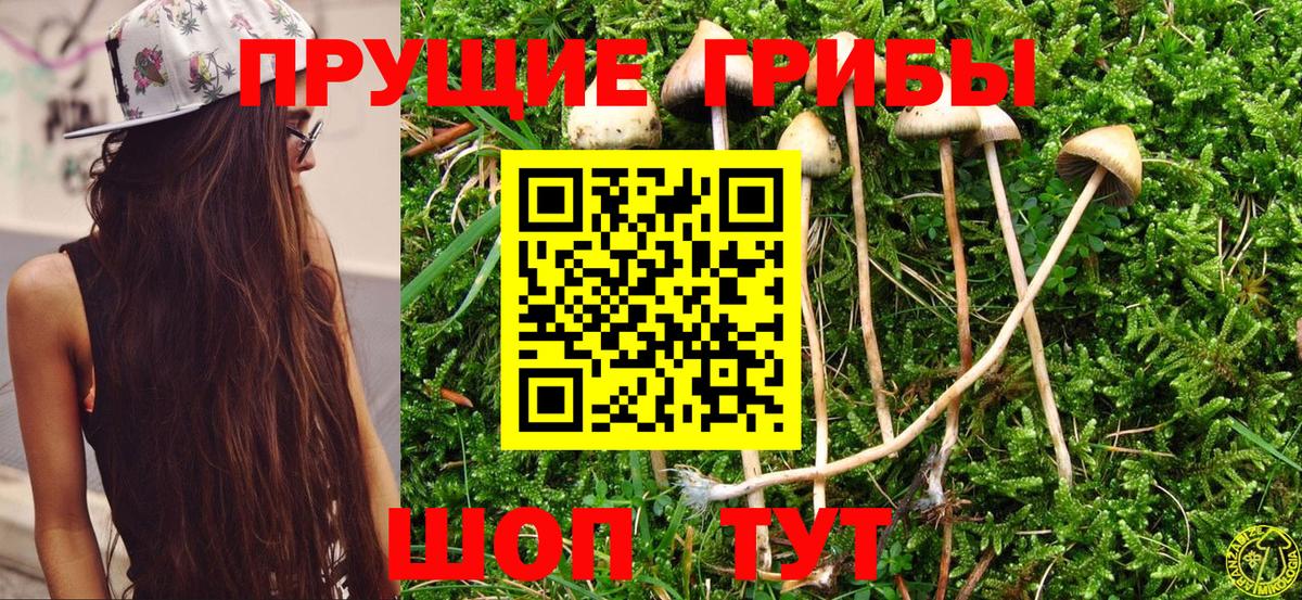 Димитровград  Псилоцибиновые грибы ЛСД  Вход с VPN  закладка  Галлюциногенные грибы прущие грибы 