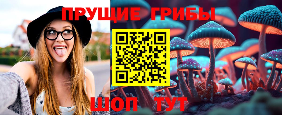 Псилоцибиновые грибы прущие грибы Димитровград